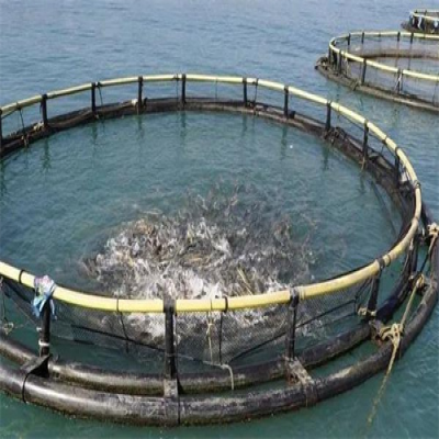 應(yīng)對夏季海生物生長迅速的海洋平臺養(yǎng)殖網(wǎng)箱清洗